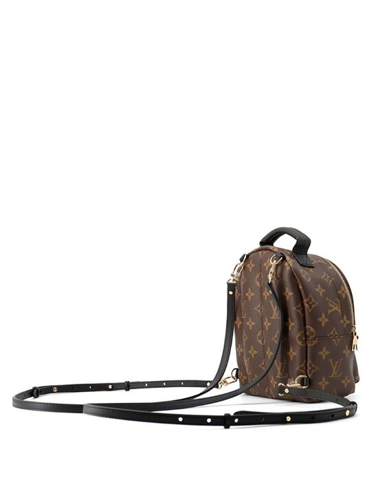 Louis Vuitton Monogram Palm Springs Backpack Mini Bag main image 10